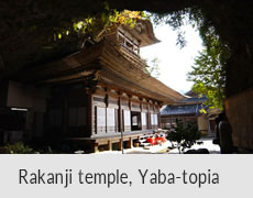 Rakanji temple, Yaba-topia