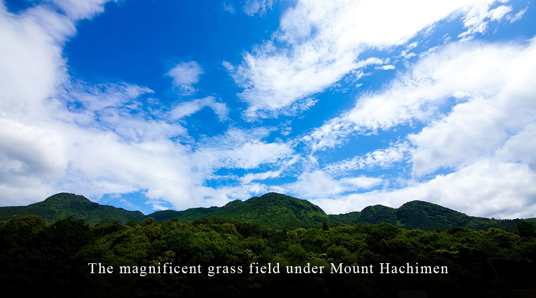 The magnificent grass field under Mount Hachimen
