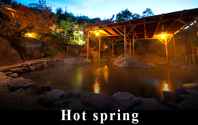 Kogane Mountain Villa Hot spring