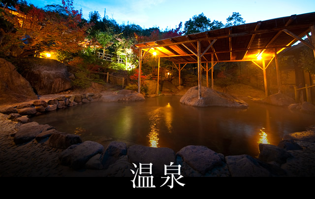 お宿 こがね山荘 温泉