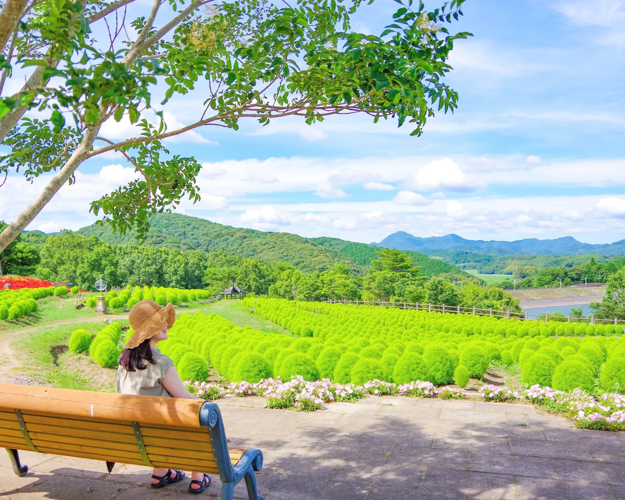 農業文化公園の広場